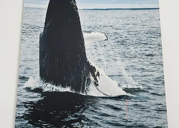 Daire Three Sisters- La Casa Nel Cuore Di Roma