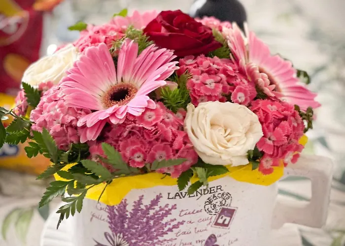 Three Sisters- La Casa Nel Cuore Di Daire